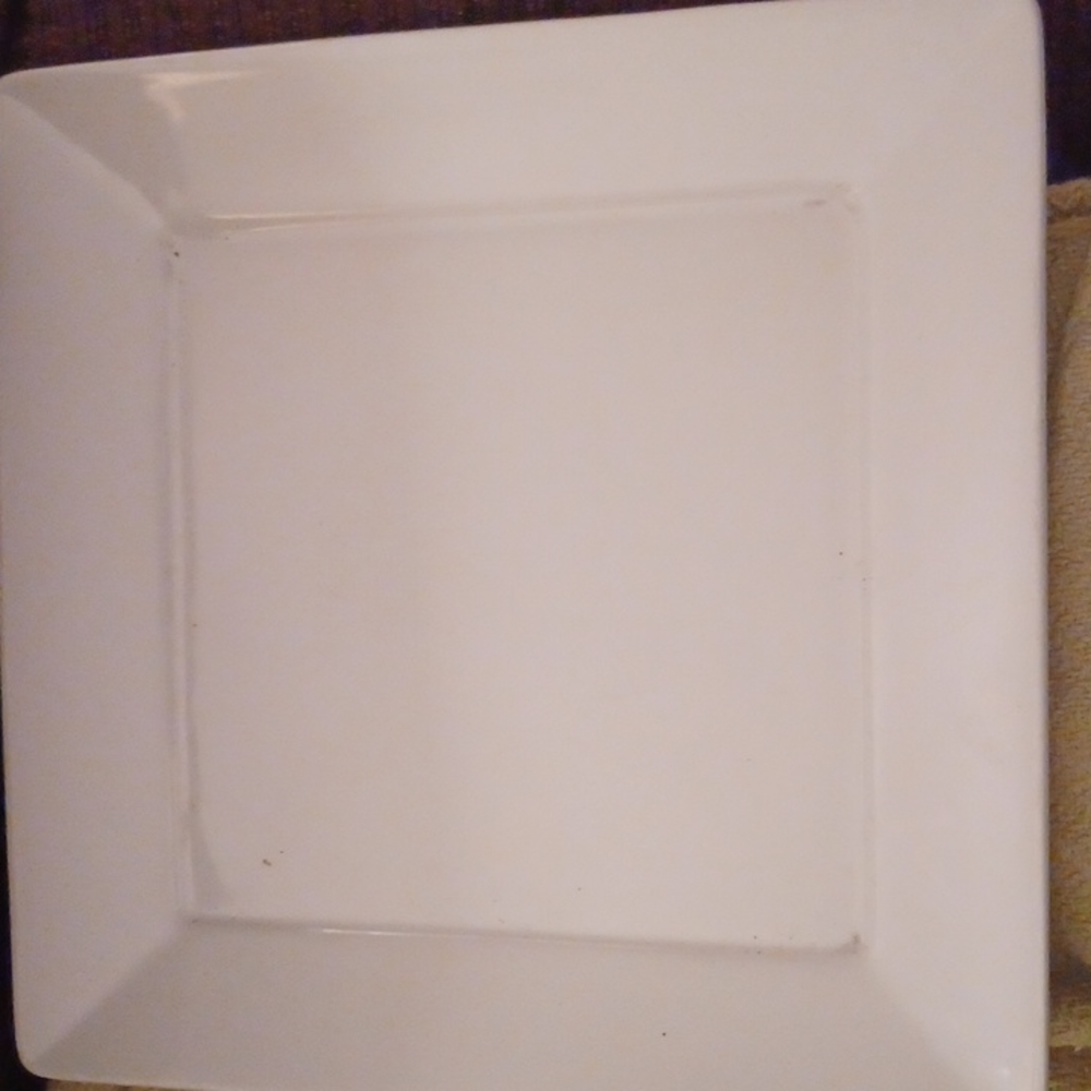 Tuxton plate China